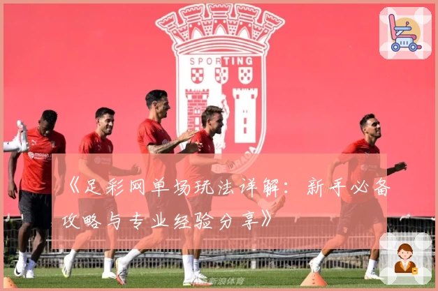 《足彩网单场玩法详解：新手必备攻略与专业经验分享》
