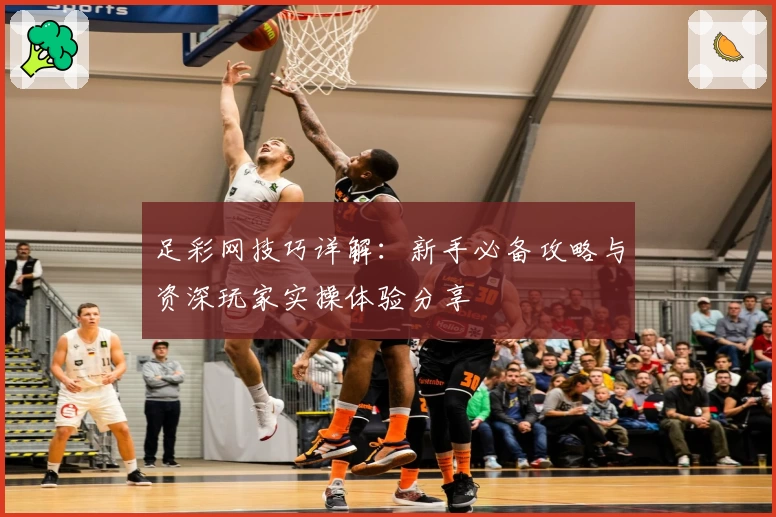 足彩网技巧详解：新手必备攻略与资深玩家实操体验分享