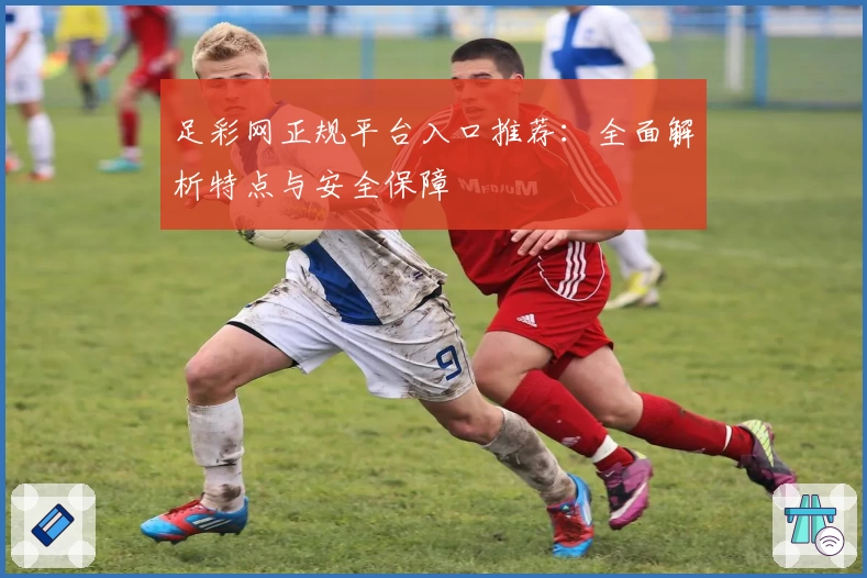 足彩网正规平台入口推荐：全面解析特点与安全保障