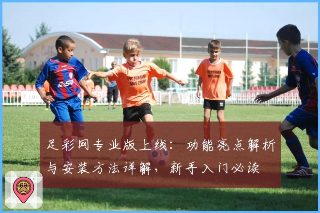 足彩网专业版上线：功能亮点解析与安装方法详解，新手入门必读