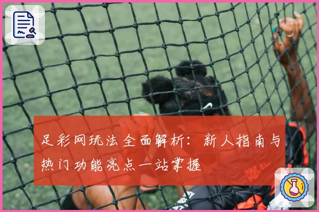 足彩网玩法全面解析：新人指南与热门功能亮点一站掌握