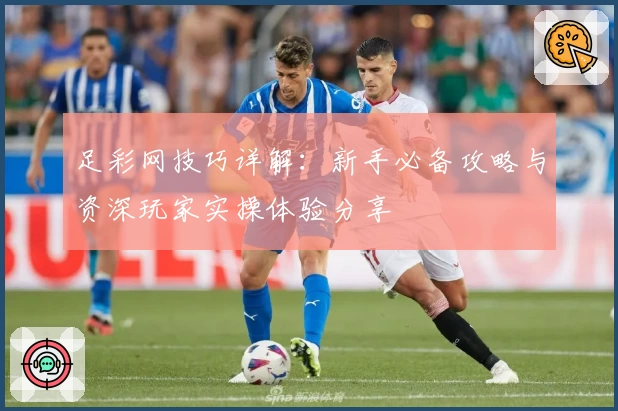 足彩网技巧详解：新手必备攻略与资深玩家实操体验分享
