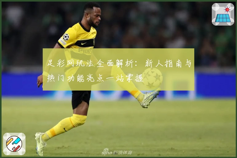 足彩网玩法全面解析：新人指南与热门功能亮点一站掌握